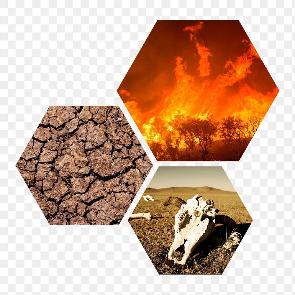 Global warming png badge sticker, world extinction photo in hexagon shape, transparent background