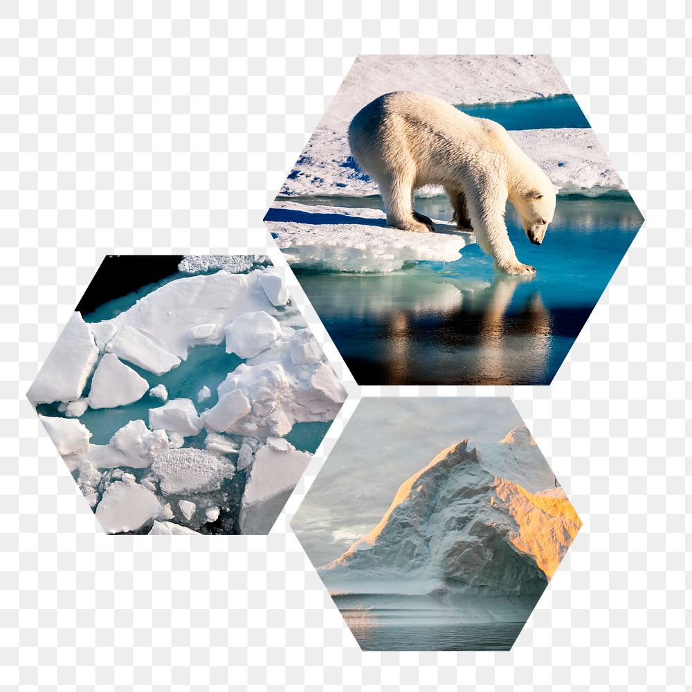 Melting ocean png badge sticker, global warming photo in hexagon shape, transparent background