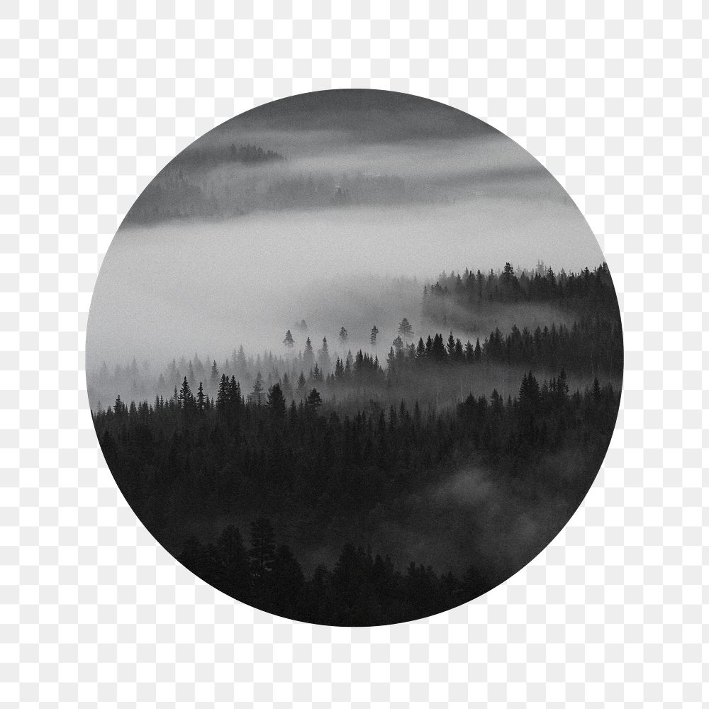 Foggy forest png badge sticker, nature photo, transparent background