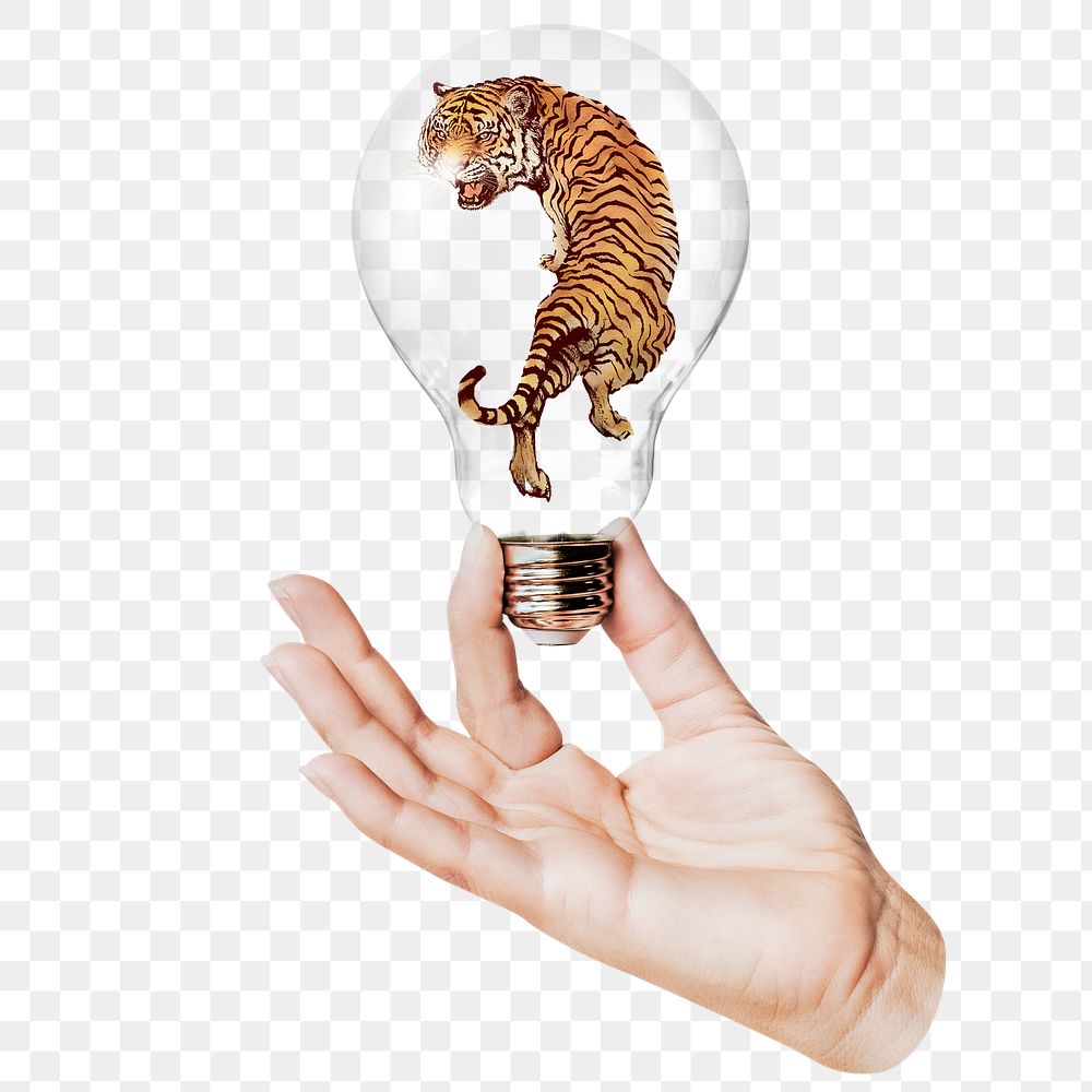 Roaring tiger png sticker, hand holding light bulb in wildlife concept, transparent background