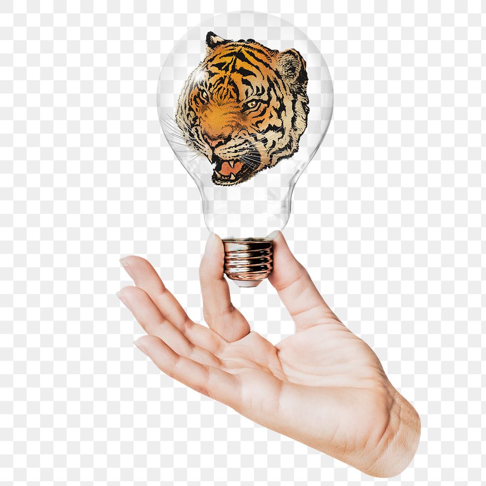 Roaring tiger png sticker, hand holding light bulb in wildlife concept, transparent background