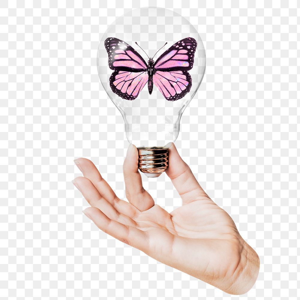 Aesthetic butterfly png sticker, hand holding light bulb in environment concept, transparent background