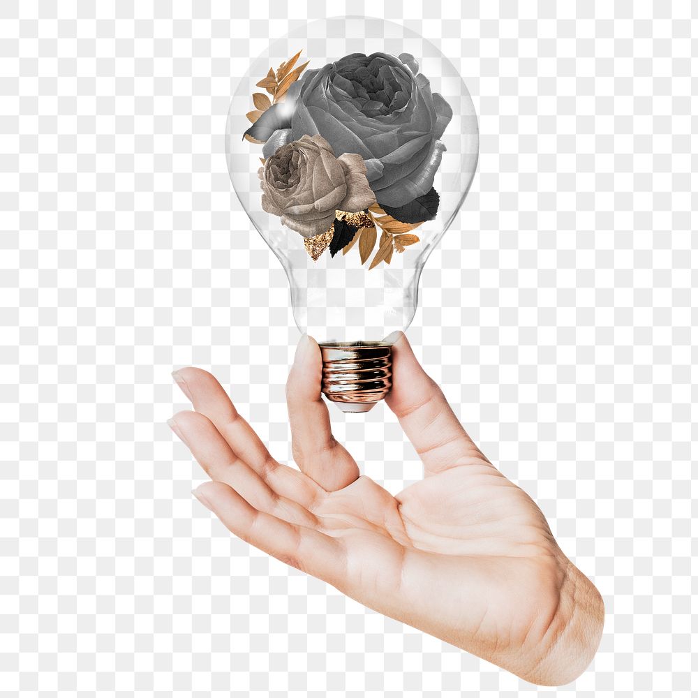 Black rose png flowers sticker, hand holding light bulb in Winter concept, transparent background