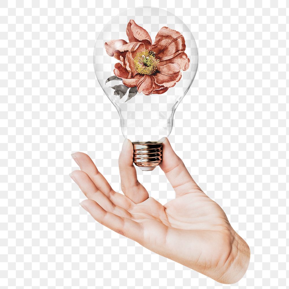 Dry flower png sticker, hand holding light bulb in Autumn concept, transparent background