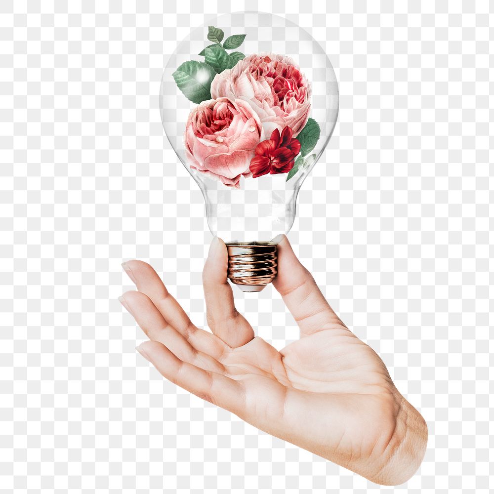 Moss rose flowers png sticker, hand holding light bulb in Spring concept, transparent background