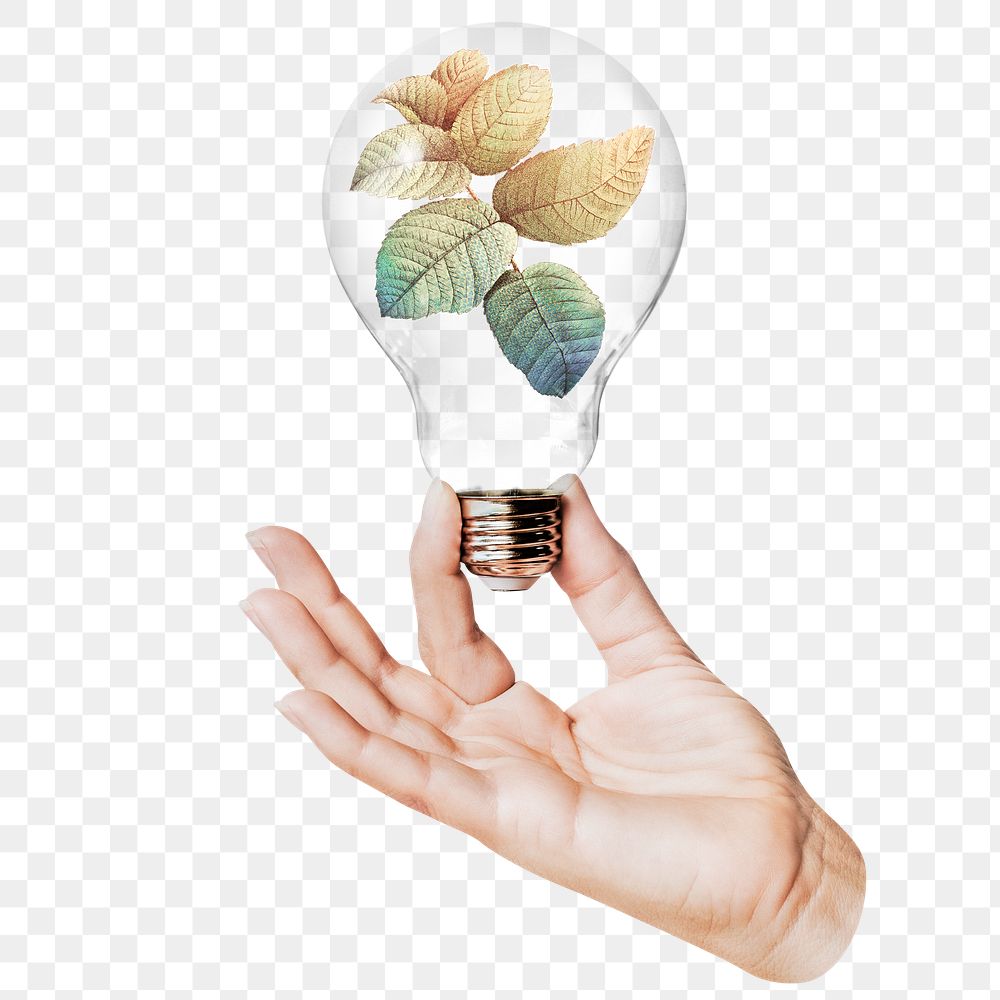 Autumn leaves png sticker, hand holding light bulb in seasonal concept, transparent background