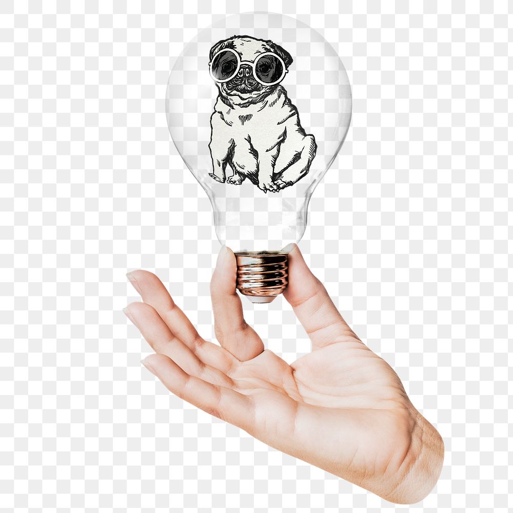 Pug puppy png sticker, hand holding light bulb in pet fashion concept, transparent background
