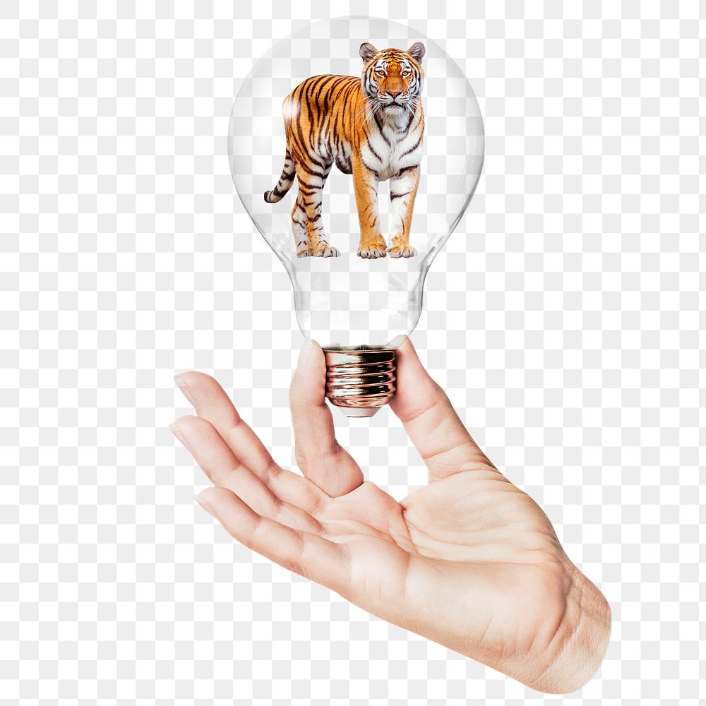 Tiger png sticker, hand holding light bulb in wild animal concept, transparent background