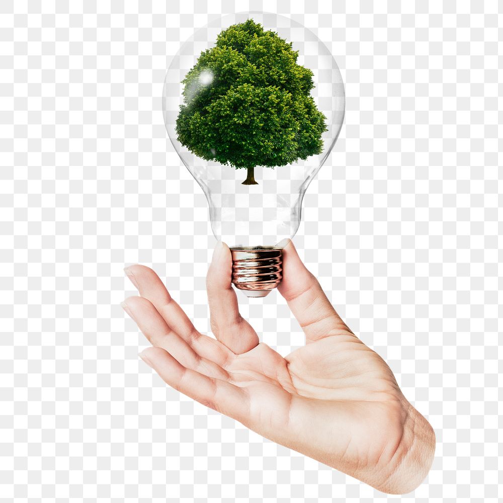 Lone tree png sticker, hand holding light bulb in nature, environment concept, transparent background