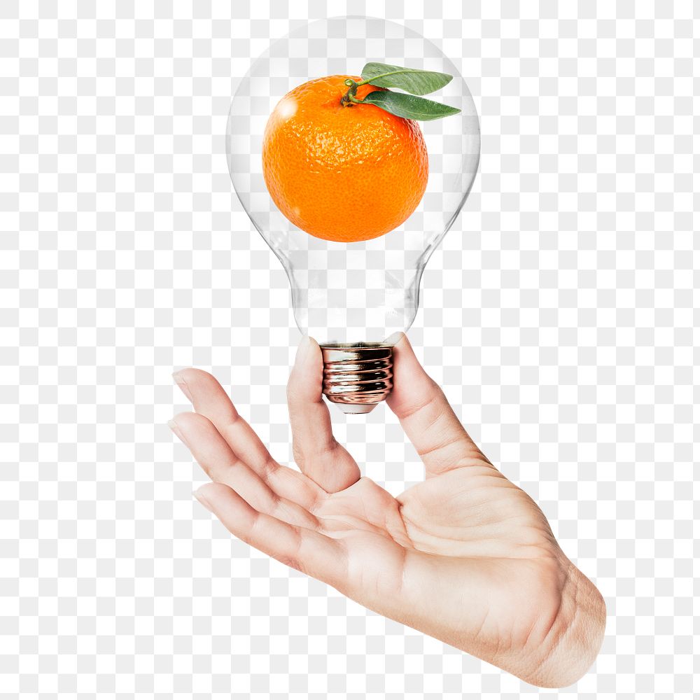 Orange fruit png sticker, hand holding light bulb in health, wellness concept, transparent background