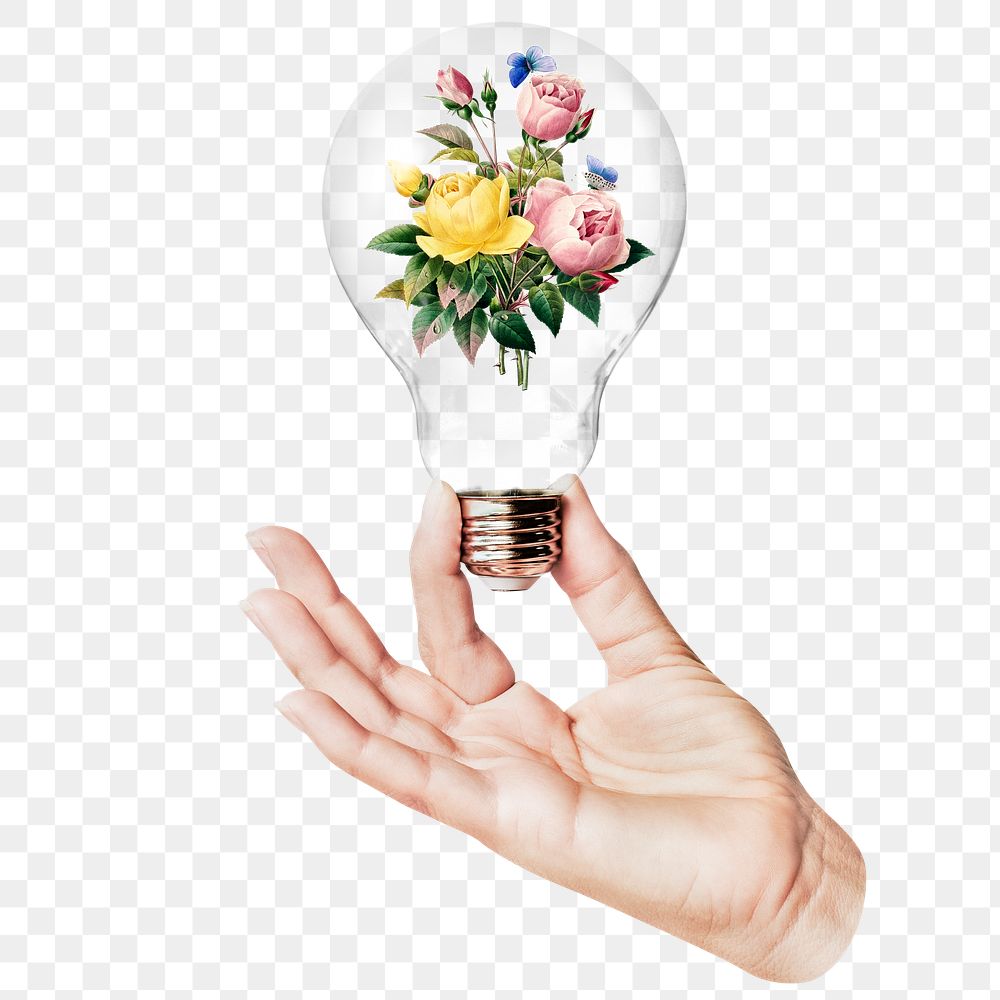 Wild rose png flowers sticker, hand holding light bulb in Spring concept, transparent background