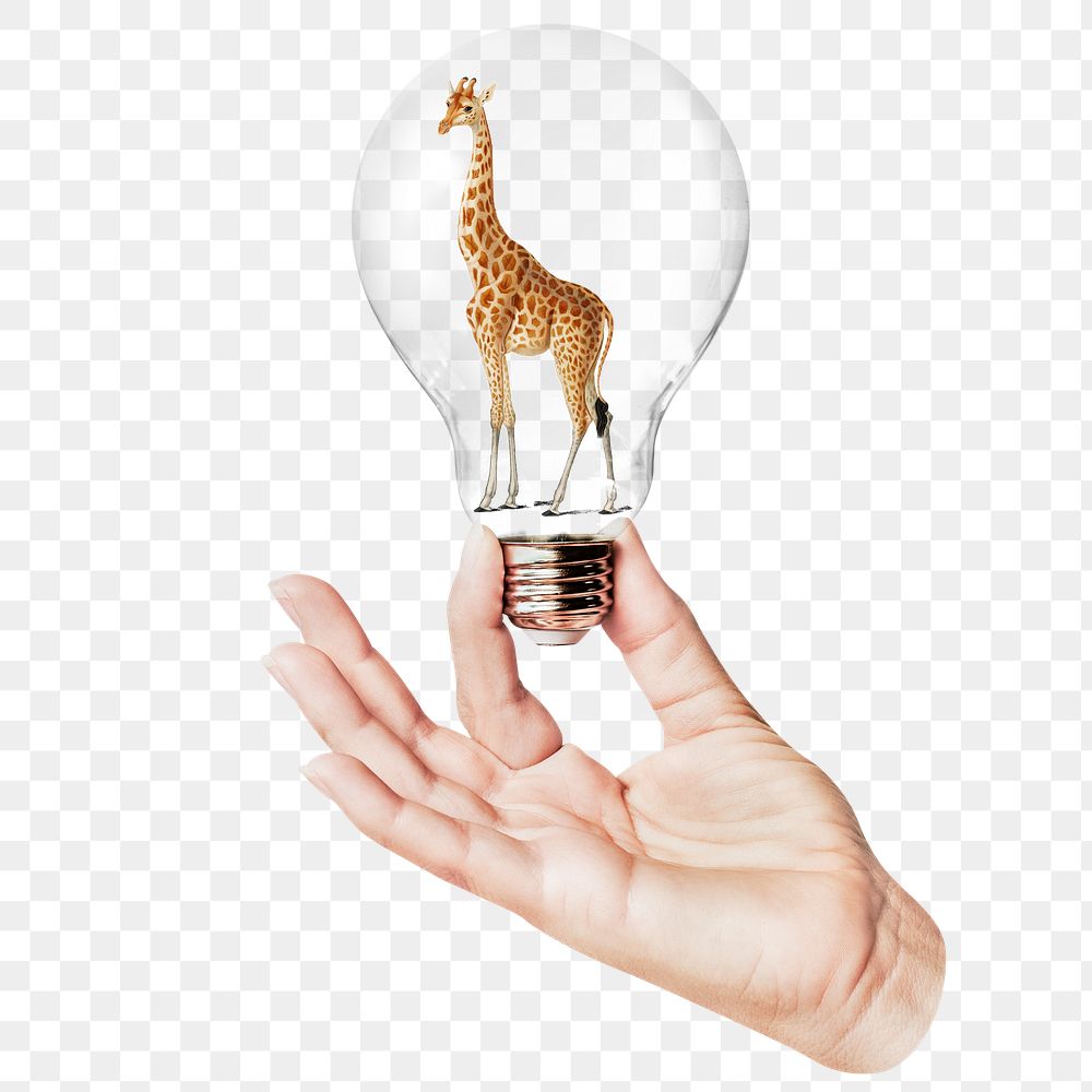Giraffe png sticker, hand holding light bulb in wildlife concept, transparent background