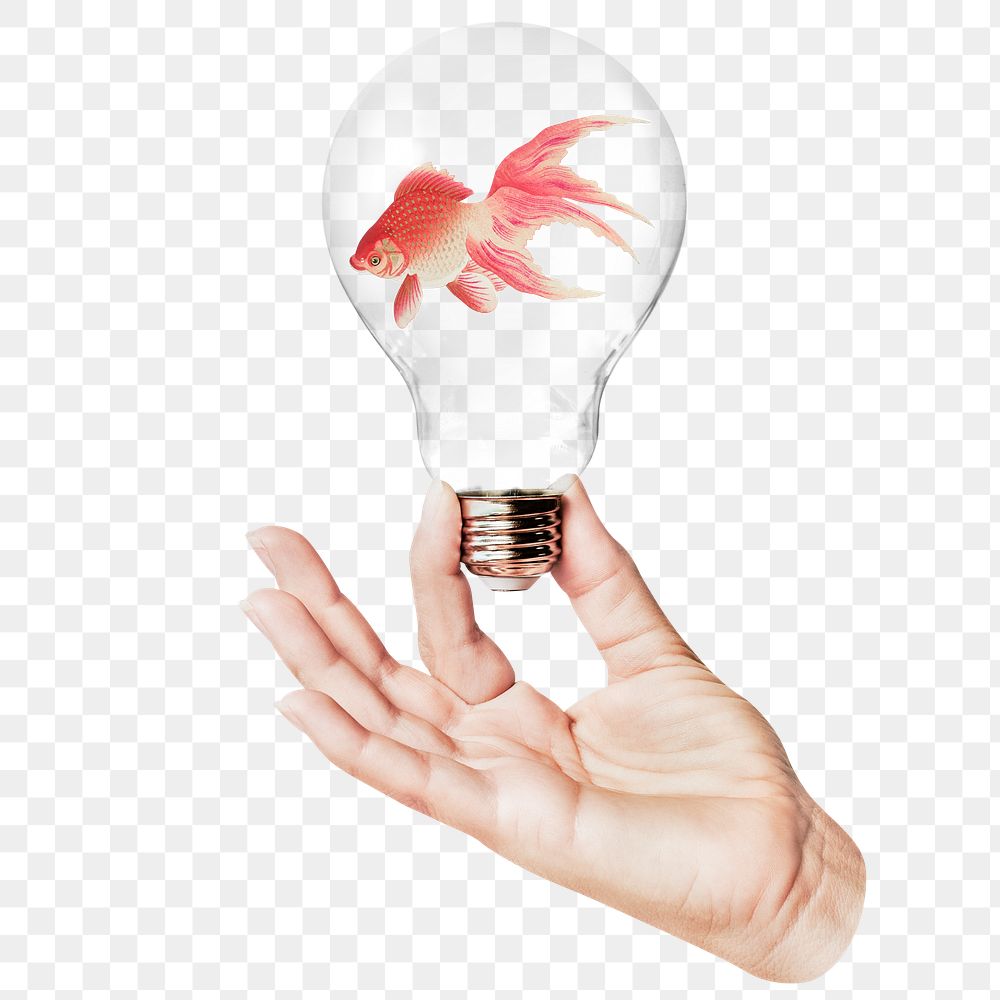 Goldfish png sticker, hand holding light bulb in animal concept, transparent background