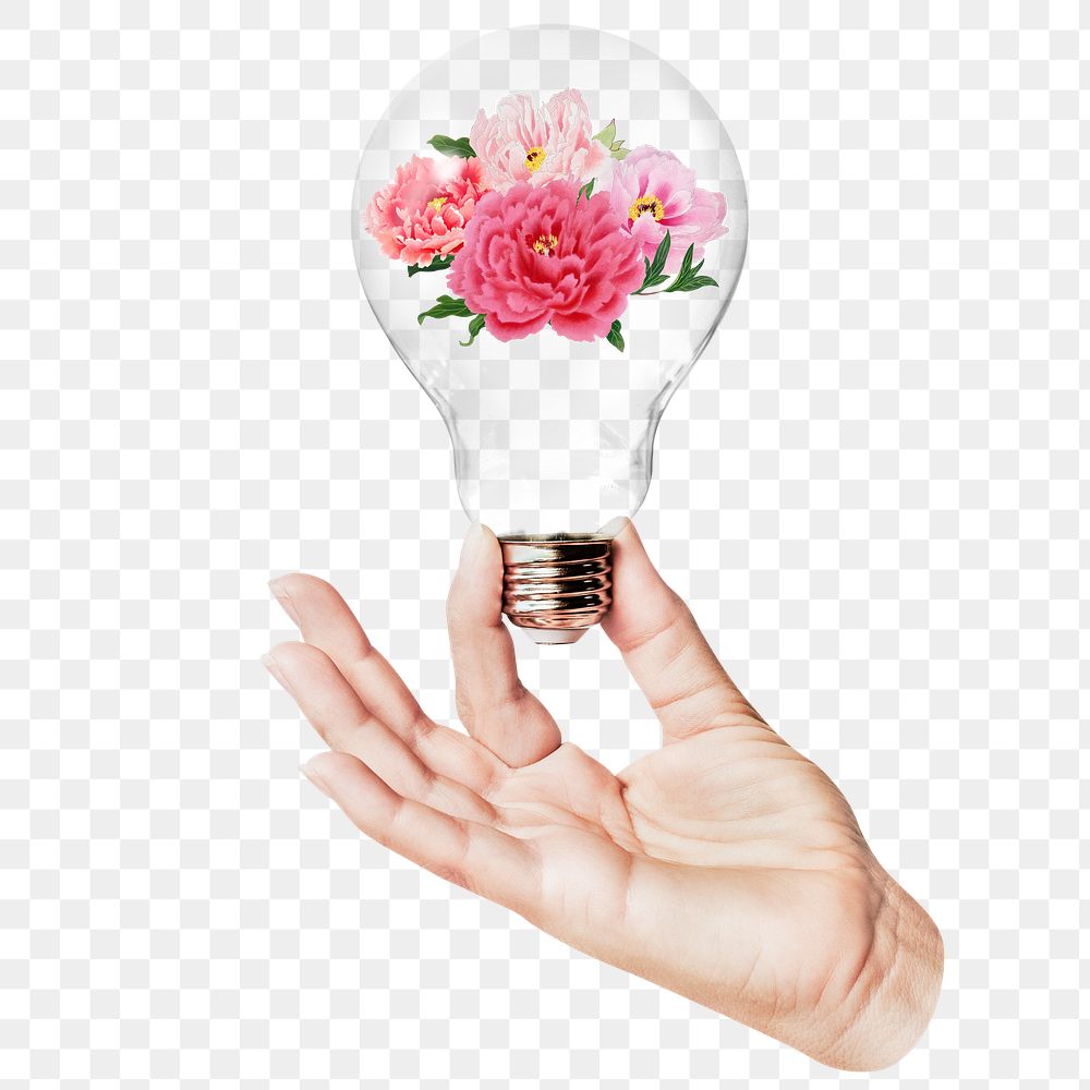 Peony flowers png sticker, hand holding light bulb in Spring concept, transparent background