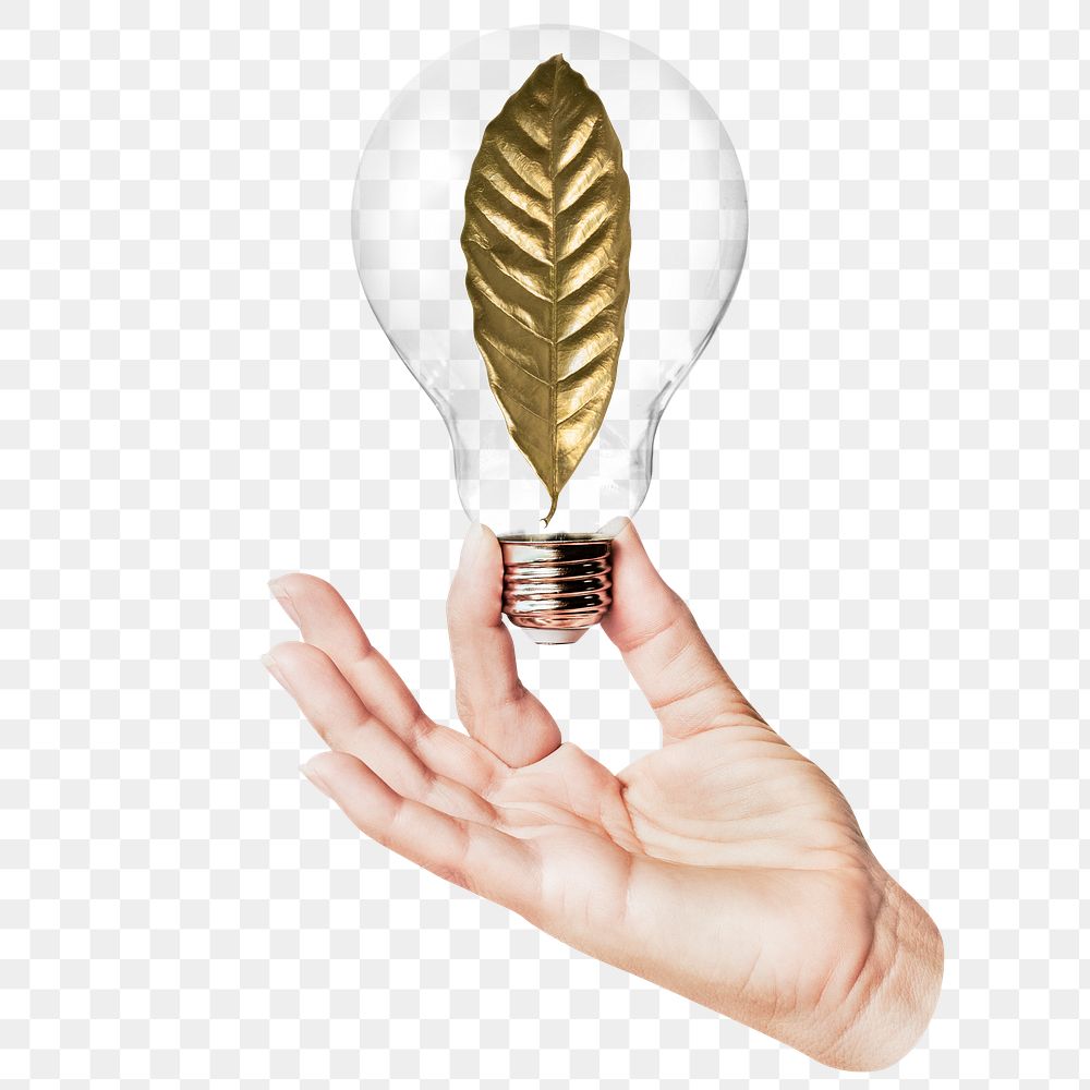 Gold leaf png sticker, hand holding light bulb in nature concept, transparent background