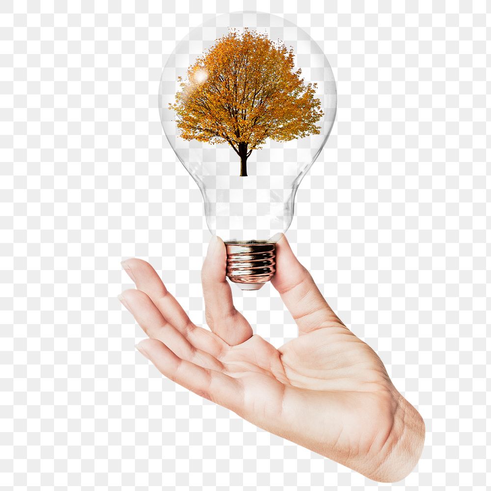 Lone Autumn png tree sticker, hand holding light bulb in nature concept, transparent background
