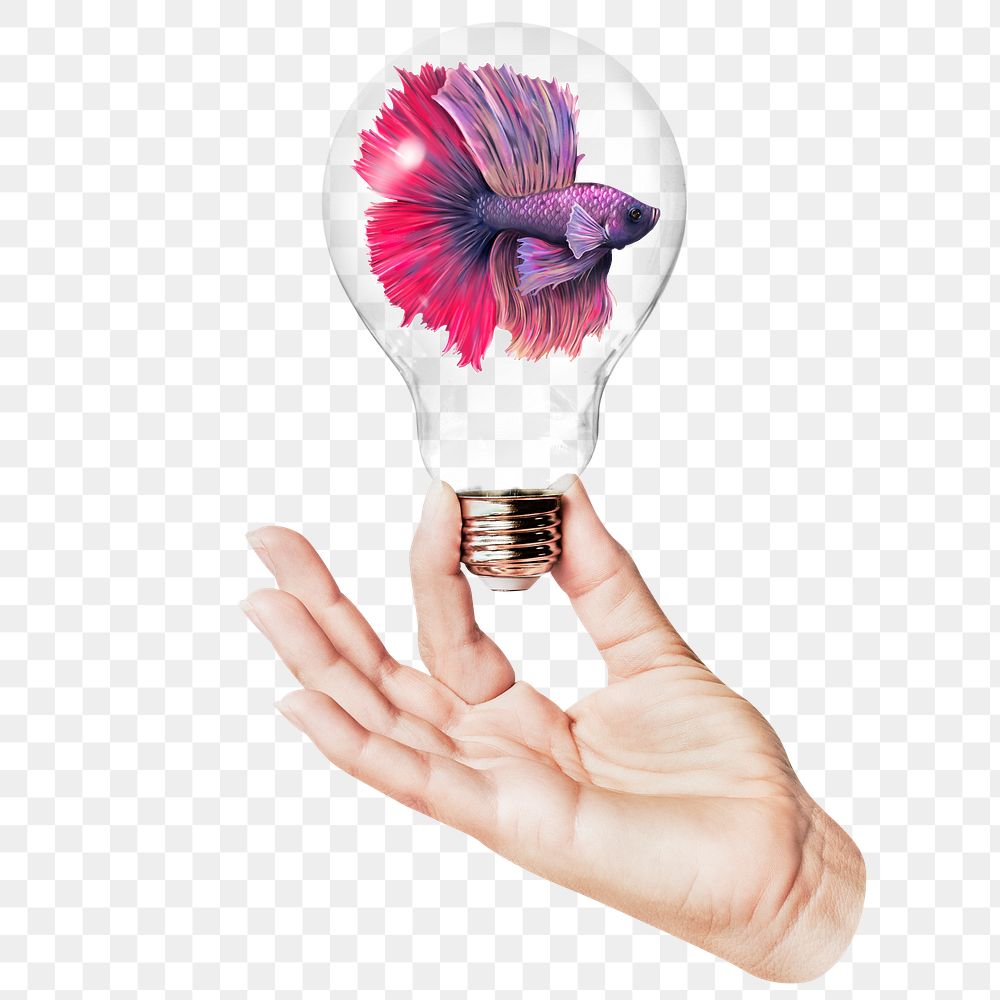 Png Siamese fighting fish sticker, hand holding light bulb in animal concept, transparent background