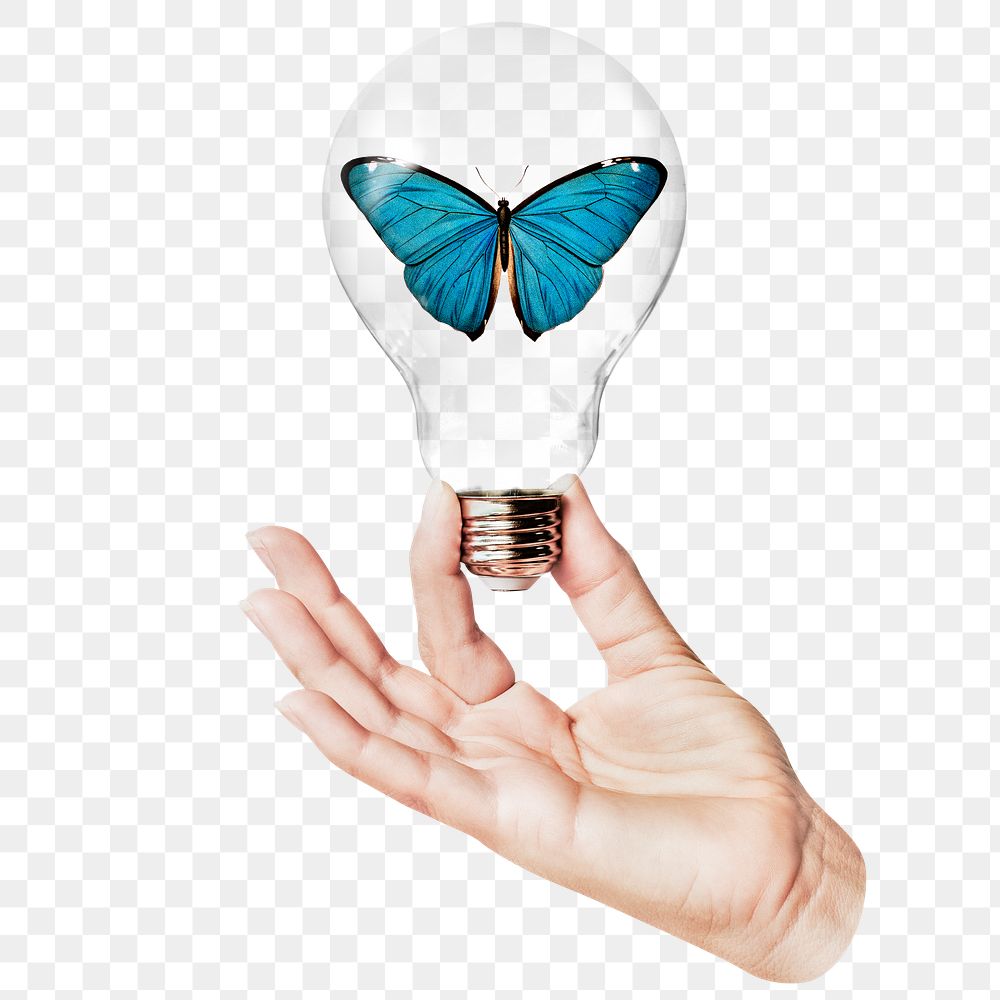 Aesthetic butterfly png sticker, hand holding light bulb in environment concept, transparent background