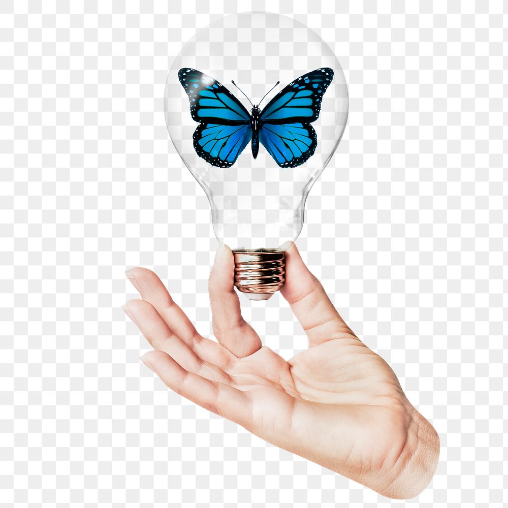 Aesthetic butterfly png sticker, hand holding light bulb in environment concept, transparent background