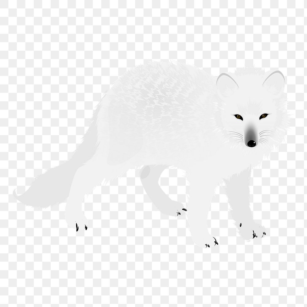 Arctic fox png sticker, animal illustration on transparent background. Free public domain CC0 image.