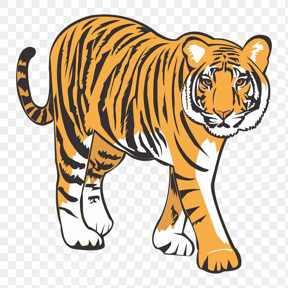 Tiger png sticker, animal illustration on transparent background. Free public domain CC0 image.