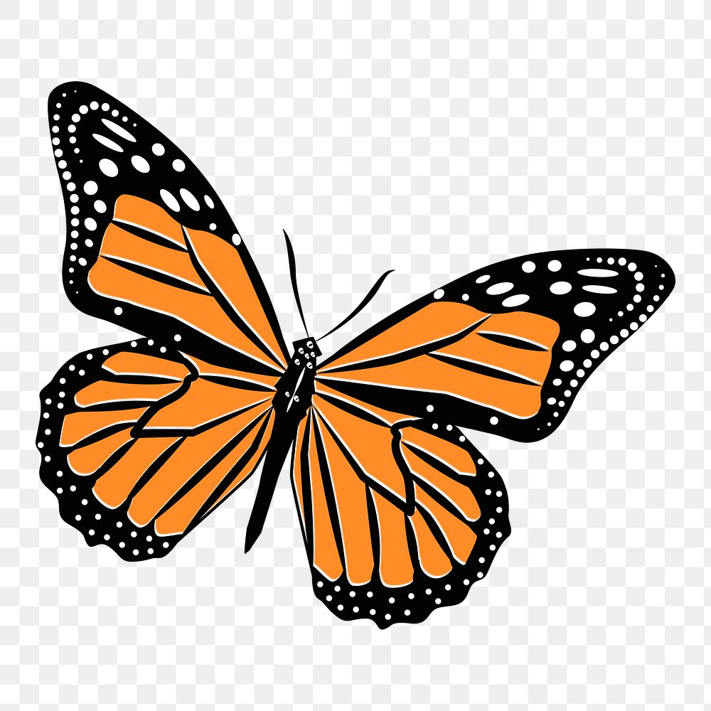 Monarch butterfly png sticker, insect illustration on transparent background. Free public domain CC0 image.