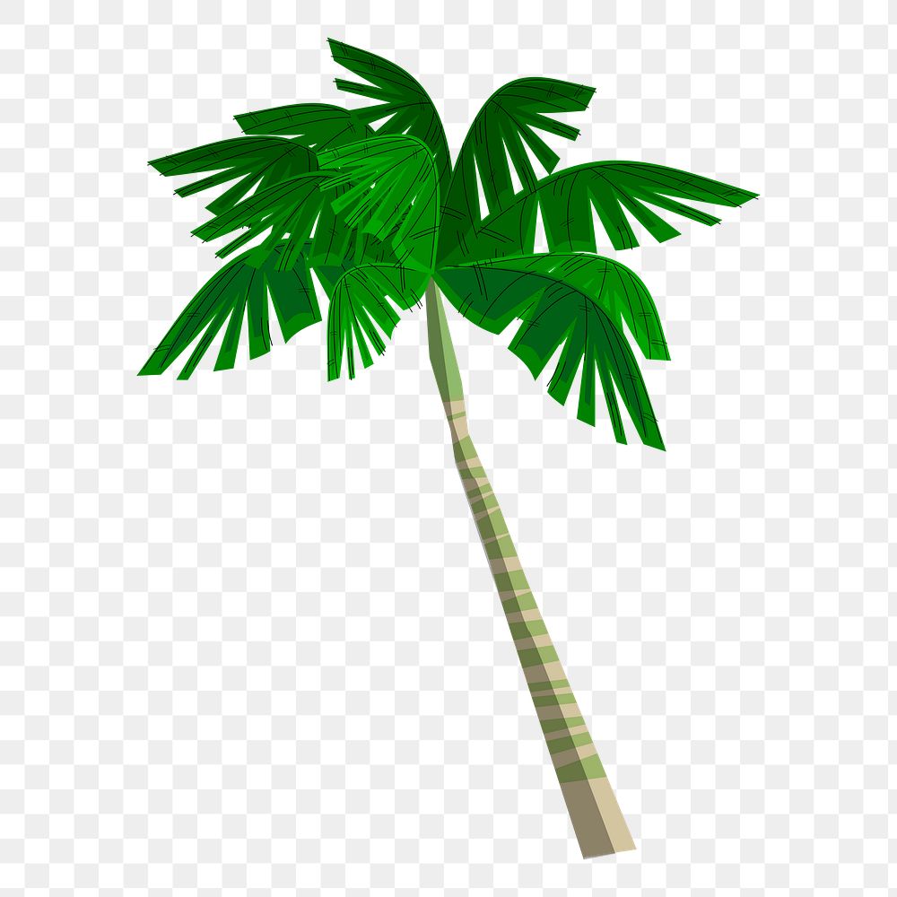 Palm tree png sticker, botanical illustration on transparent background. Free public domain CC0 image.