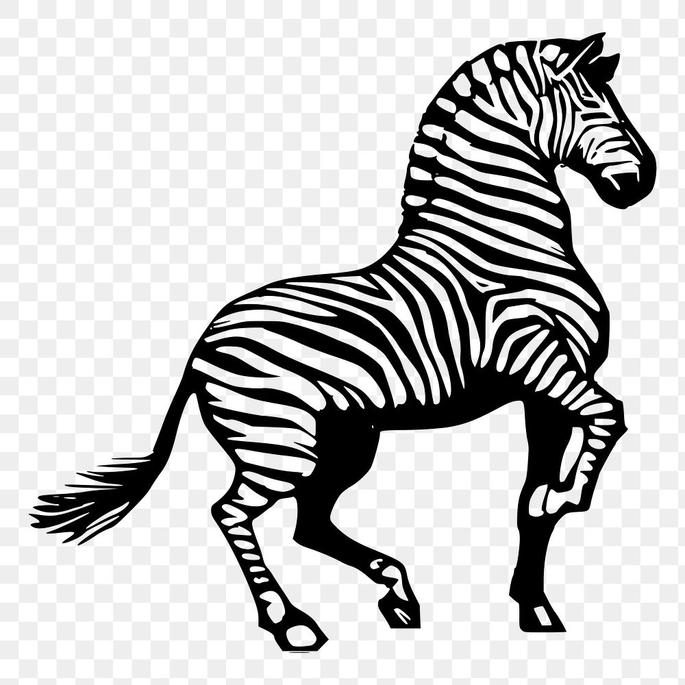 Zebra png sticker, vintage animal illustration on transparent background. Free public domain CC0 image.