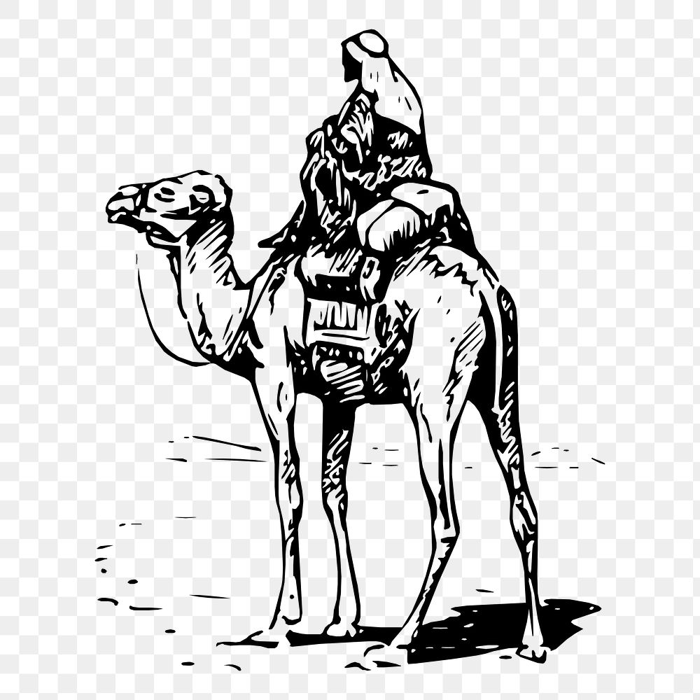 Camel rider png sticker, vintage desert illustration on transparent background. Free public domain CC0 image.