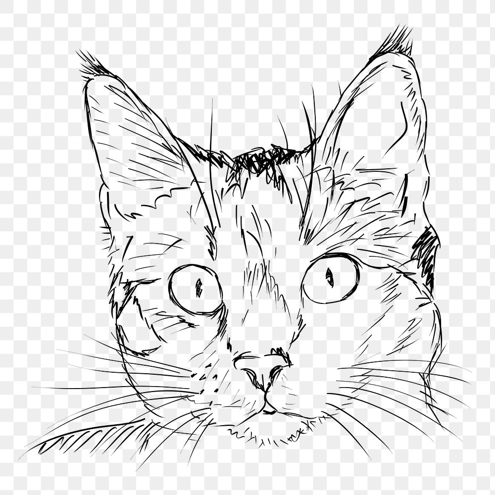 Cat portrait png sticker, vintage animal illustration on transparent background. Free public domain CC0 image.