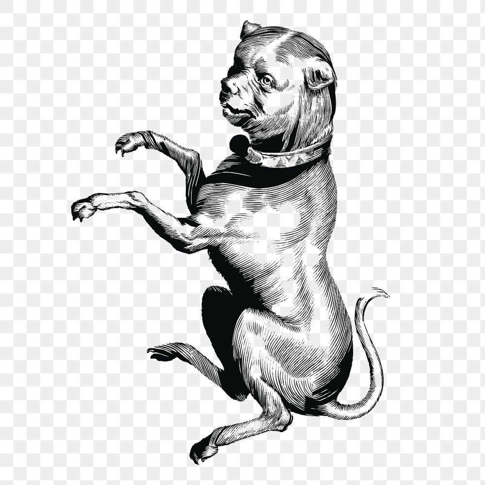 Creepy dog png sticker, vintage mythical creature illustration on transparent background. Free public domain CC0 image.