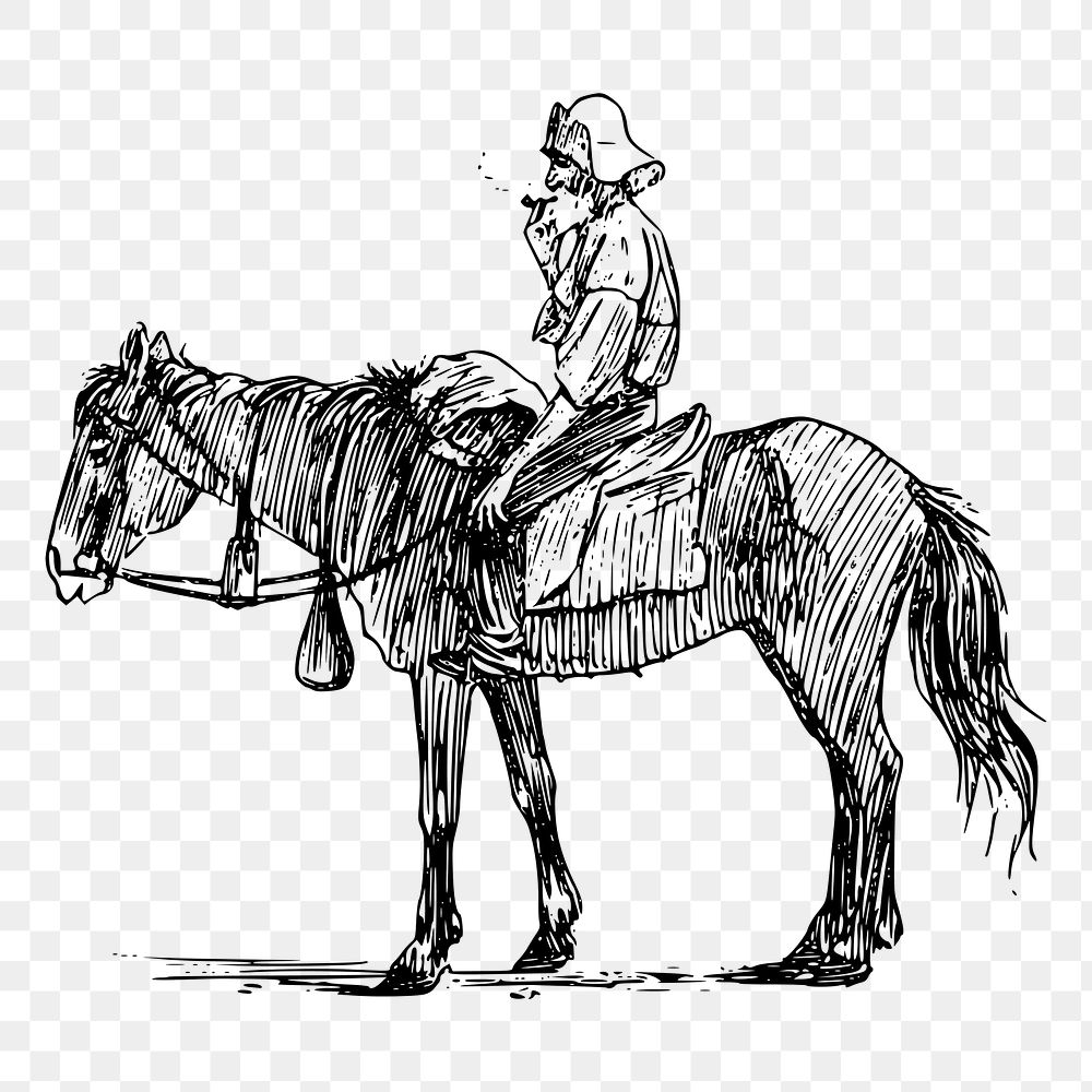 Man on horseback png sticker, vintage illustration on transparent background. Free public domain CC0 image.