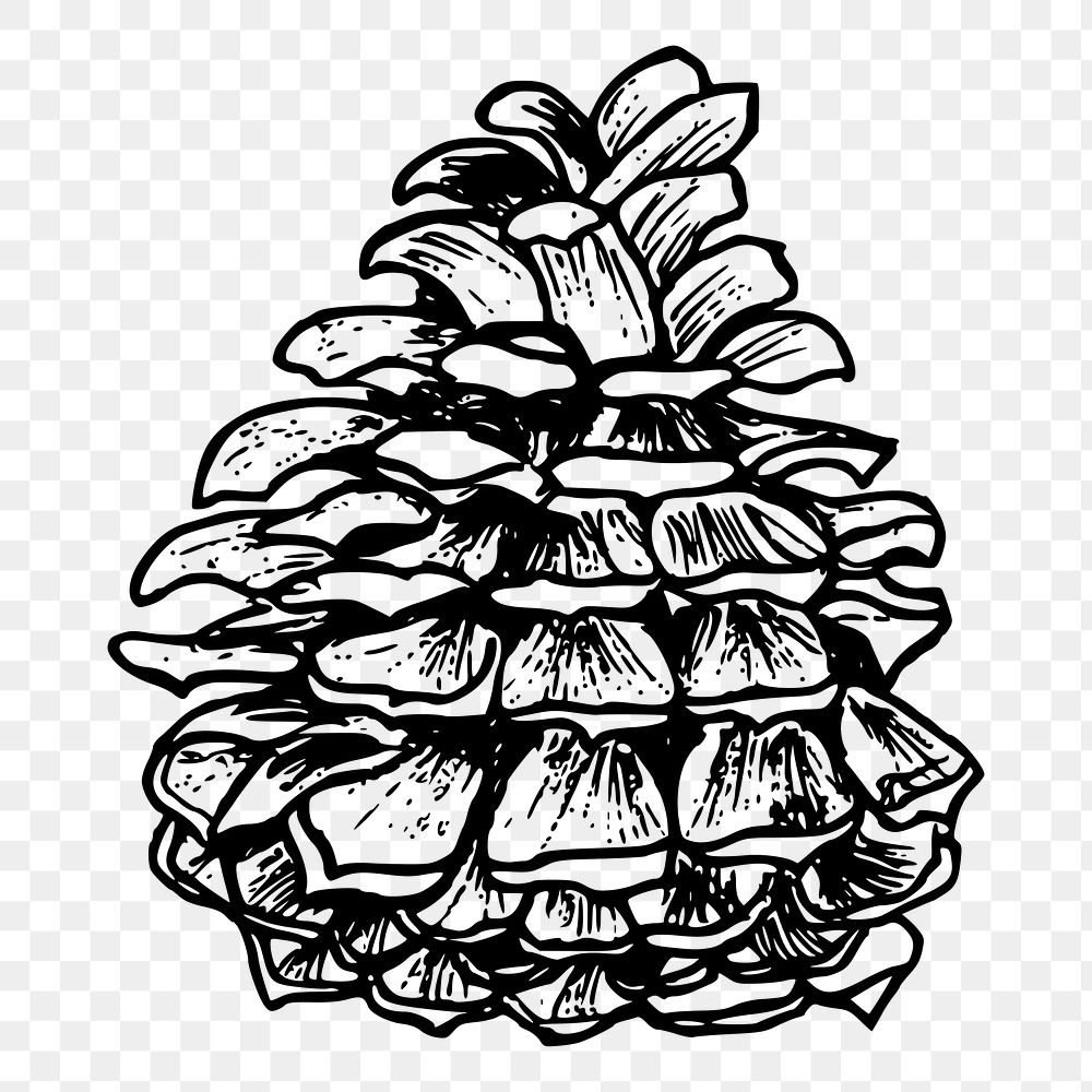 Pine cone png sticker Christmas illustration, transparent background. Free public domain CC0 image.