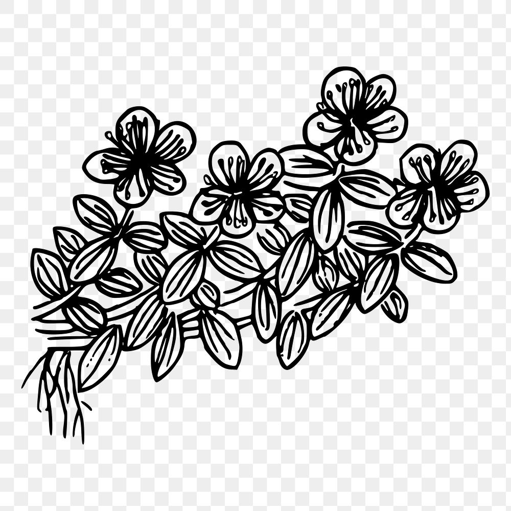 Wildflower png sticker floral illustration, transparent background. Free public domain CC0 image.