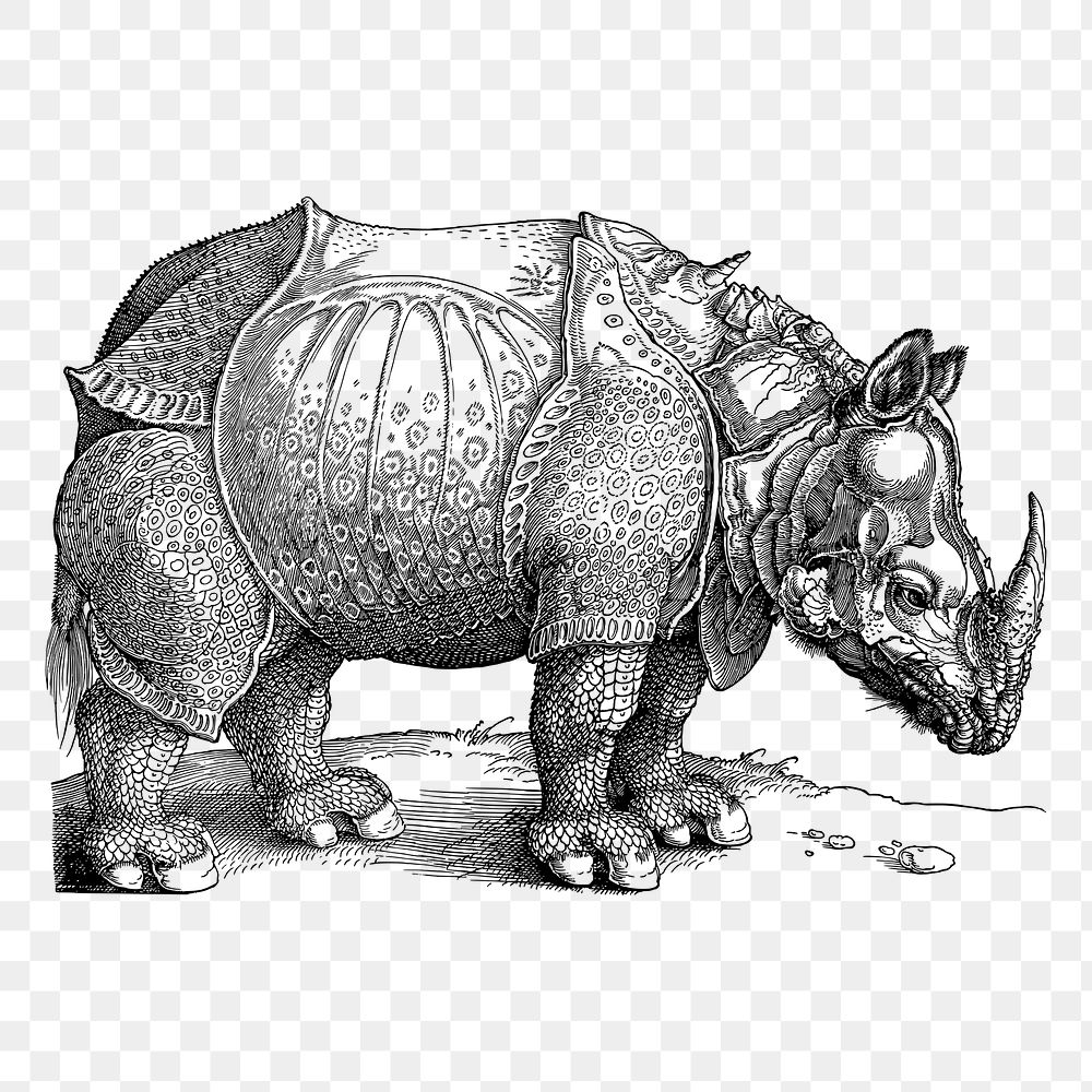 Armoured rhino png sticker illustration, transparent background. Free public domain CC0 image