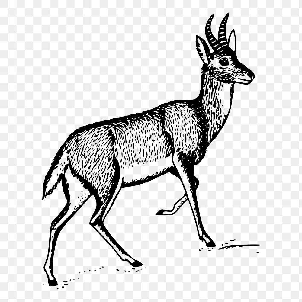 Antelope png sticker illustration, transparent background. Free public domain CC0 image.