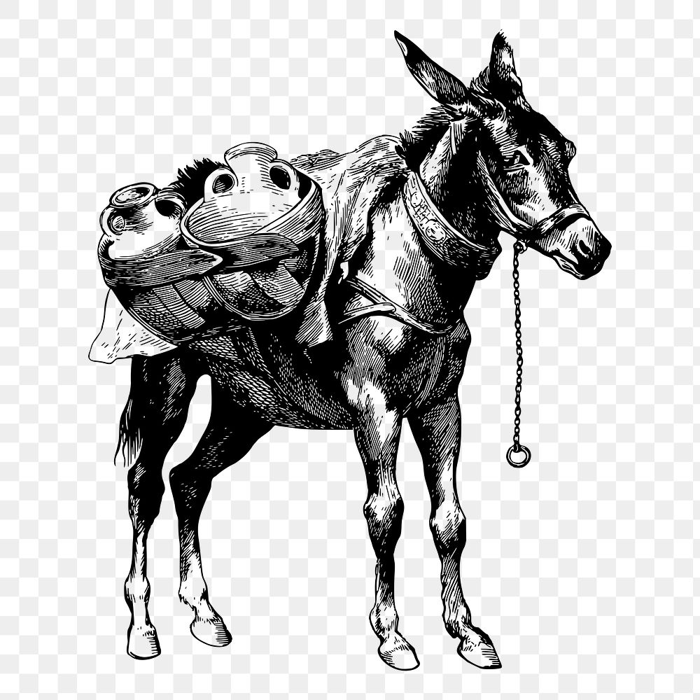 Mule png sticker illustration, transparent background. Free public domain CC0 image.