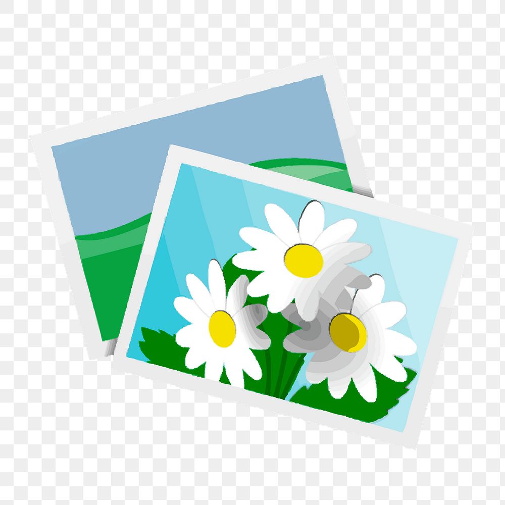 Flower photos png sticker, album icon illustration on transparent background. Free public domain CC0 image.