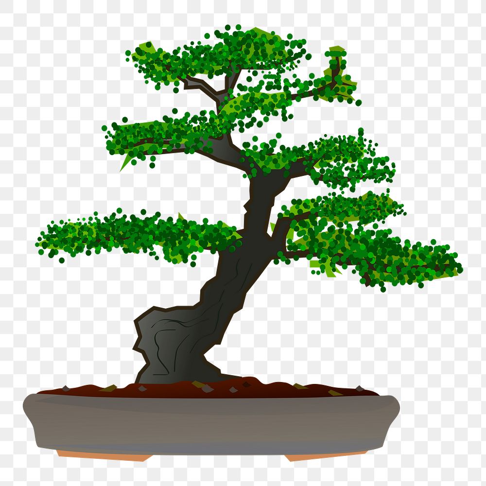 Bonsai tree png sticker, botanical illustration on transparent background. Free public domain CC0 image.