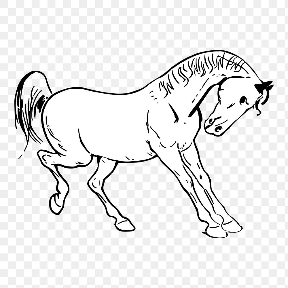 Horse png sticker, animal illustration on transparent background. Free public domain CC0 image.
