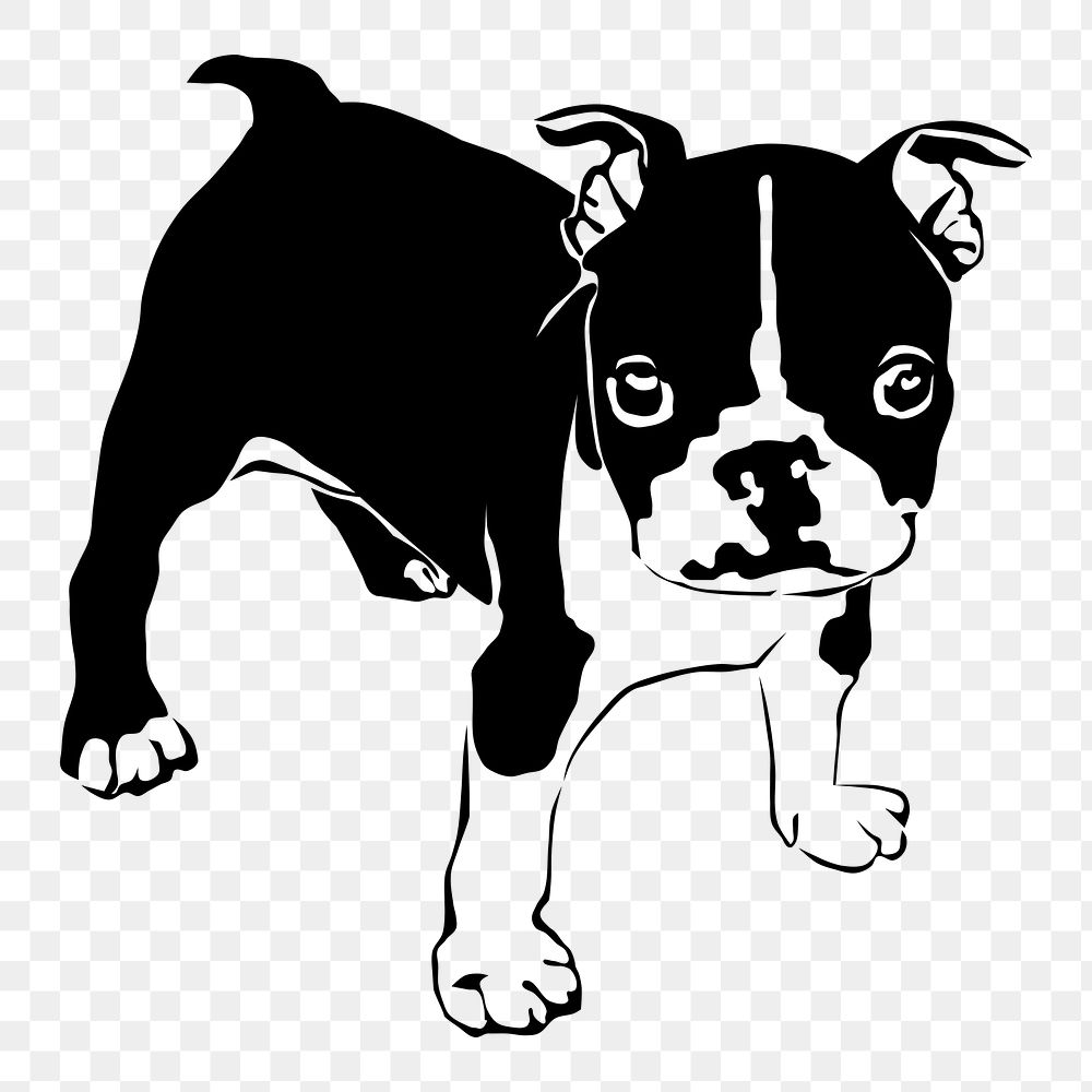 Bulldog puppy png sticker, animal illustration on transparent background. Free public domain CC0 image.