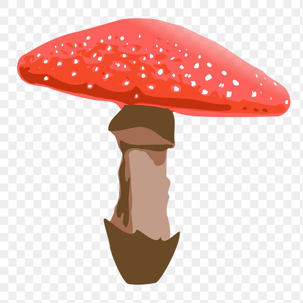 Red mushroom png sticker, vegetable illustration on transparent background. Free public domain CC0 image.
