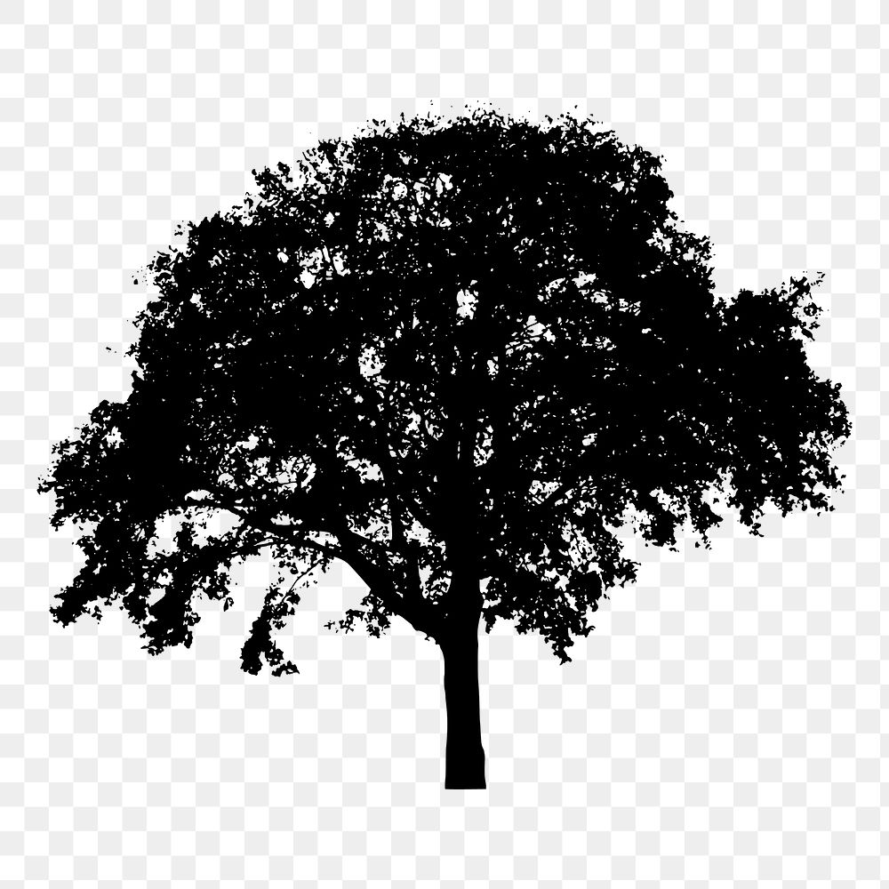 Tree silhouette png sticker, botanical illustration on transparent background. Free public domain CC0 image.