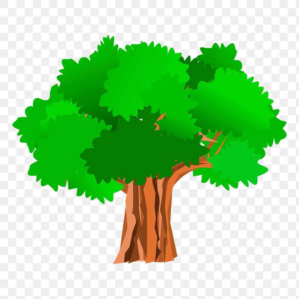 Tree png sticker, botanical illustration on transparent background. Free public domain CC0 image.