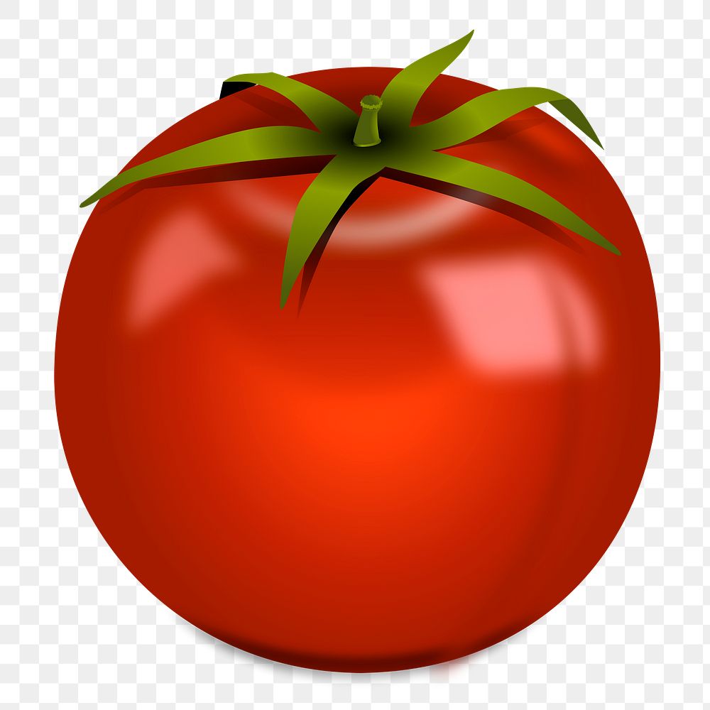 Tomato png sticker, vegetable illustration on transparent background. Free public domain CC0 image.