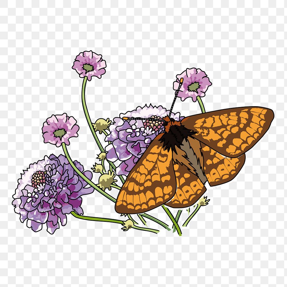 Butterfly png sticker, animal illustration, transparent background. Free public domain CC0 image