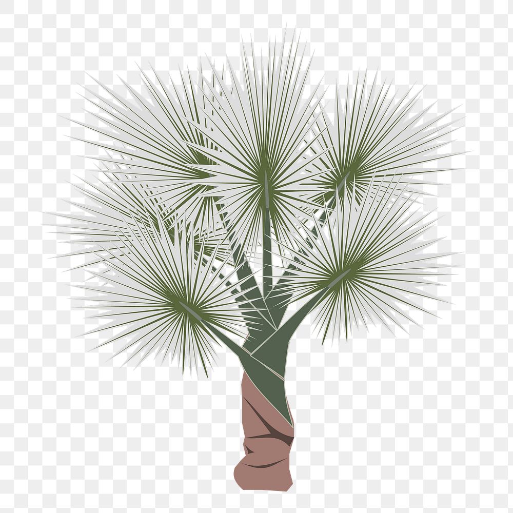 Palm tree png sticker, tropical illustration, transparent background. Free public domain CC0 image