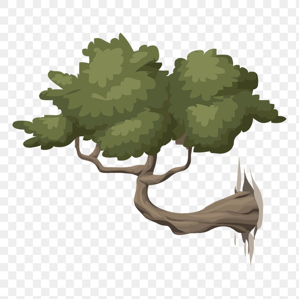 Bonsai tree png sticker, botanical illustration, transparent background. Free public domain CC0 image