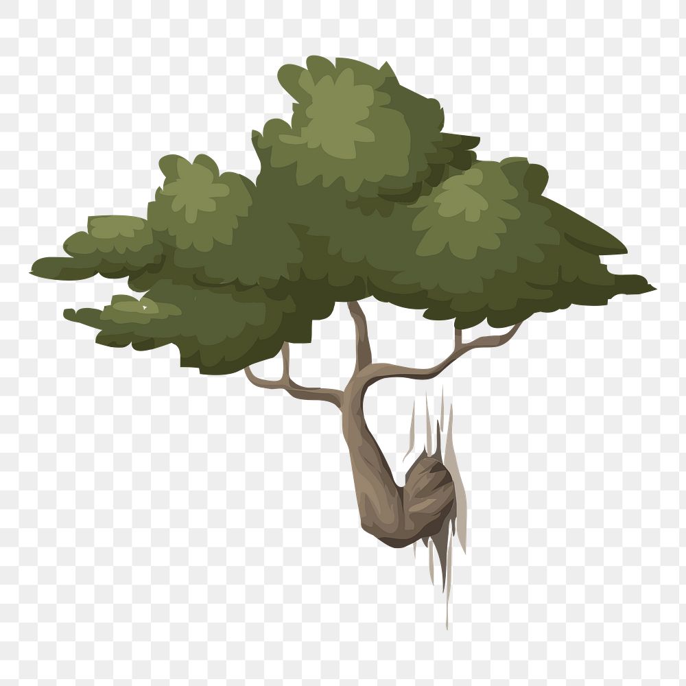 Bonsai tree png sticker, botanical illustration, transparent background. Free public domain CC0 image