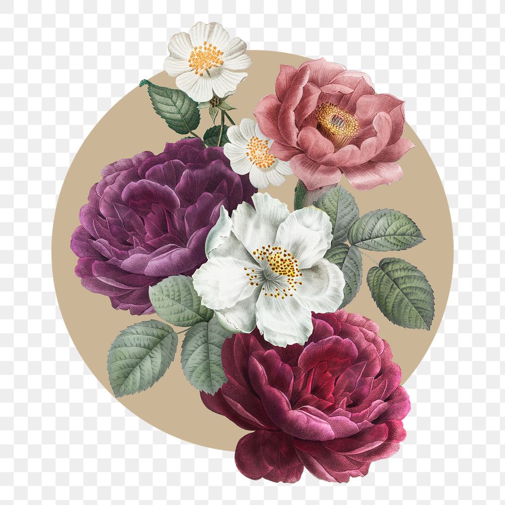 French rose png badge sticker, vintage flower illustration in circle badge, transparent background